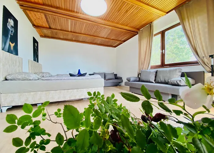 Family Room In Am Schoepfwerk Area